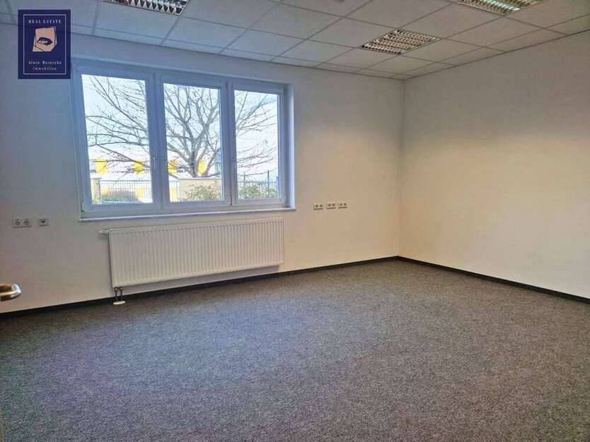 508qm im EG: großzügige und lichtdurchflutete Gewerbeeinheit 8 zimmer