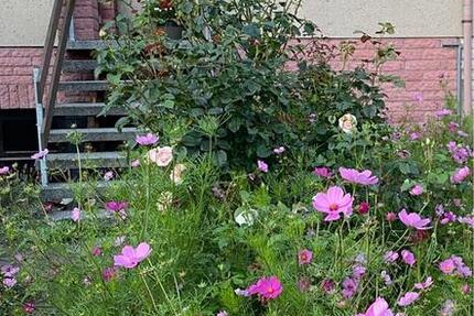 Haus Schwerin Altstadt - 4 Zimmer, 125 m&sup2;, 1.400&euro; | Angebot:25217446