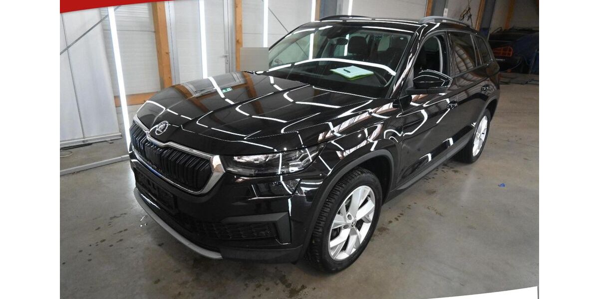 Skoda Kodiaq 90.000 km 25.950 &euro; Bebra 36179