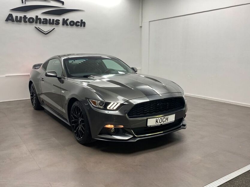 Mustang