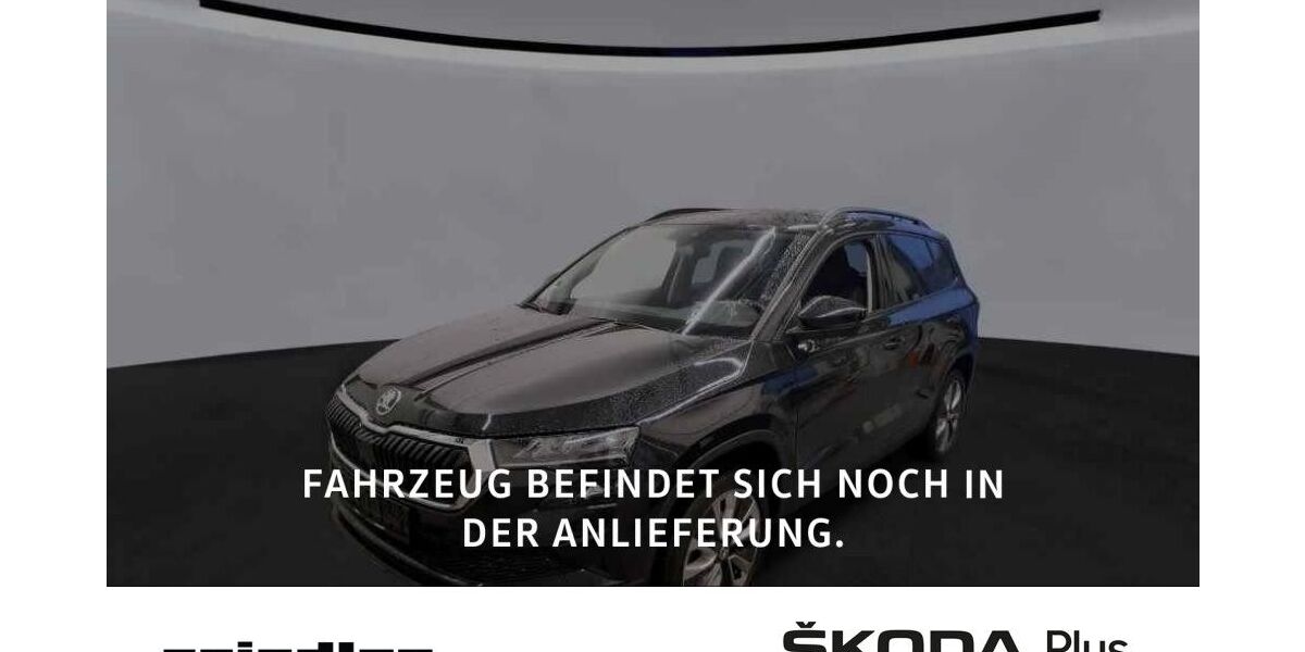 Skoda Karoq 46.000 km 27.880 &euro; Würzburg 97084