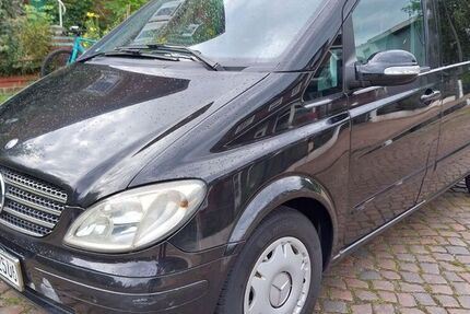 Mercedes Viano