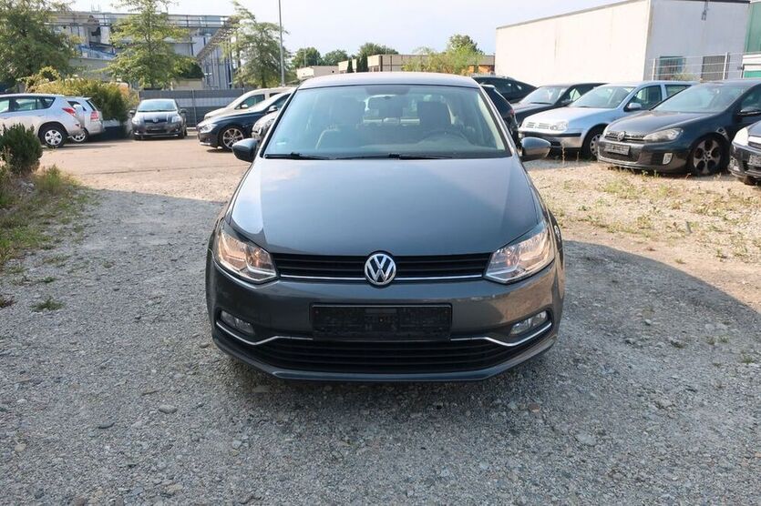 Polo