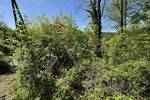 Grundstück Eppstein Vockenhausen - 150.000&euro; | Angebot:26451749