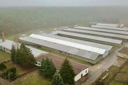 Gewerbeobjekt Storkow - 1.249.000&euro; | Angebot:18464891