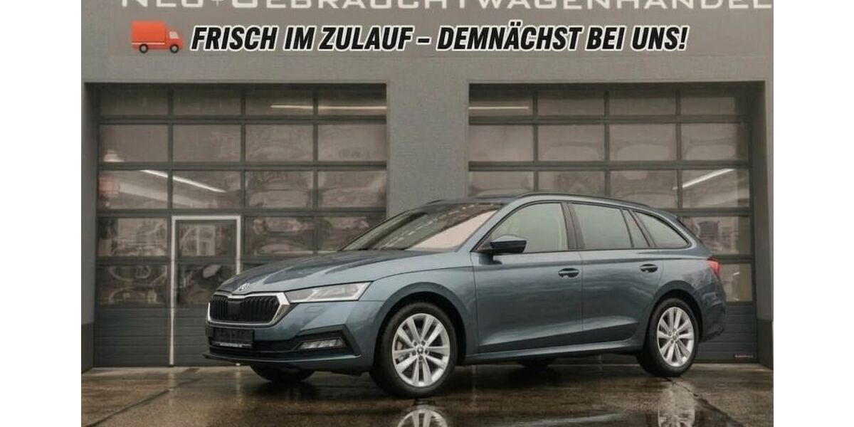 Skoda Octavia 61.875 km 19.490 &euro; Rathenow 14712