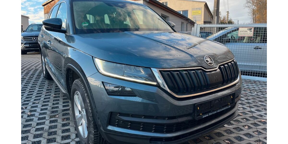 Skoda Kodiaq 155.910 km 17.400 &euro; Bannewitz 01728