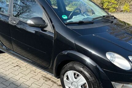 Smart ForFour 264.000 km 1.300 &euro; Steinfeld 49439