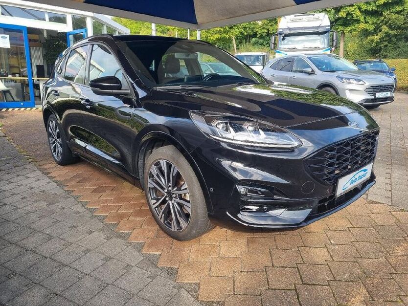 Kuga