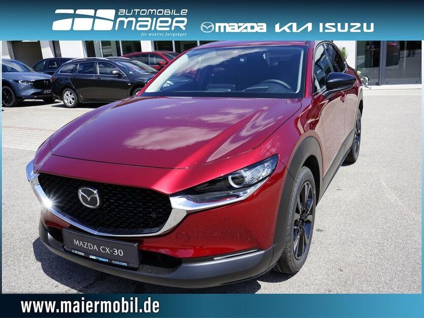 CX-30