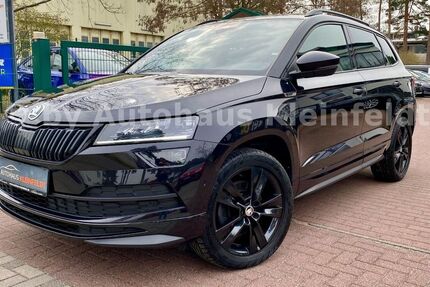 Skoda Karoq 111.579 km 22.490 &euro; Borkheide 14822