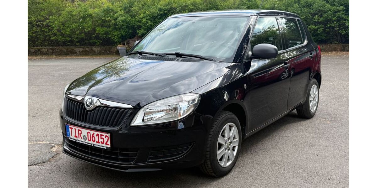 Skoda Fabia 132.000 km 3.300 &euro; Pullenreuth 95704