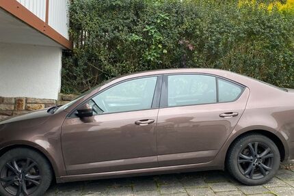 Skoda Octavia 188.167 km 6.600 € Wabern 34590