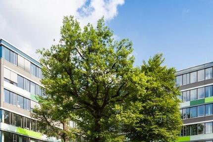 Gewerbeobjekt Eisleben (Lutherstadt) - 2.601&euro; | Angebot:24847781