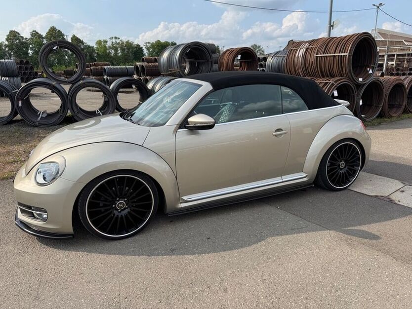Beetle