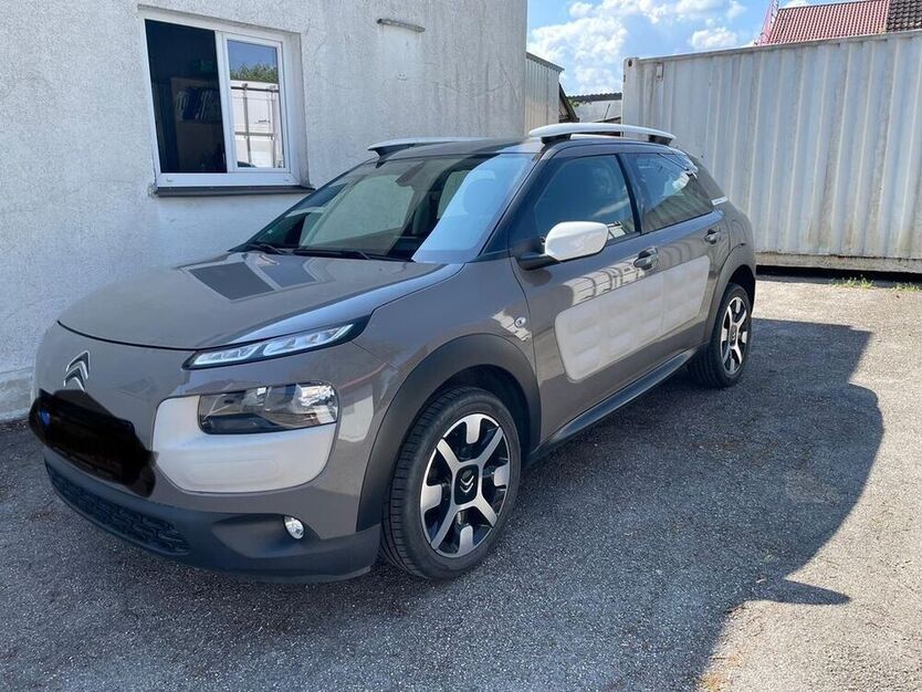 C4 Cactus