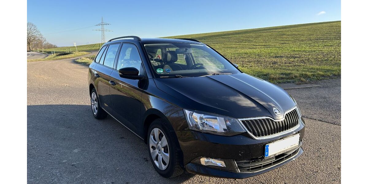Skoda Fabia 142.000 km 7.700 &euro; Dörrenbach 76889