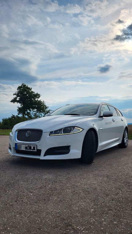 XF