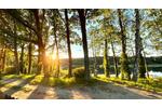 Bungalow Guben - 3 Zimmer, 40 m&sup2;, 133.000&euro; | Angebot:26201853