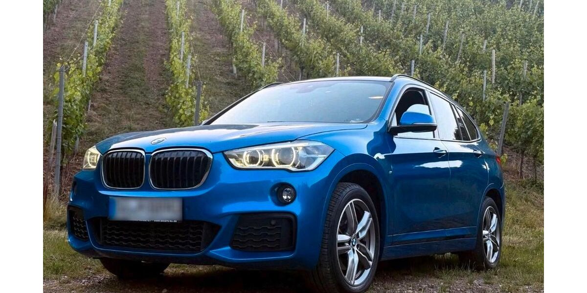 BMW X1 133.428 km 19.730 &euro; Rheinbach 53359