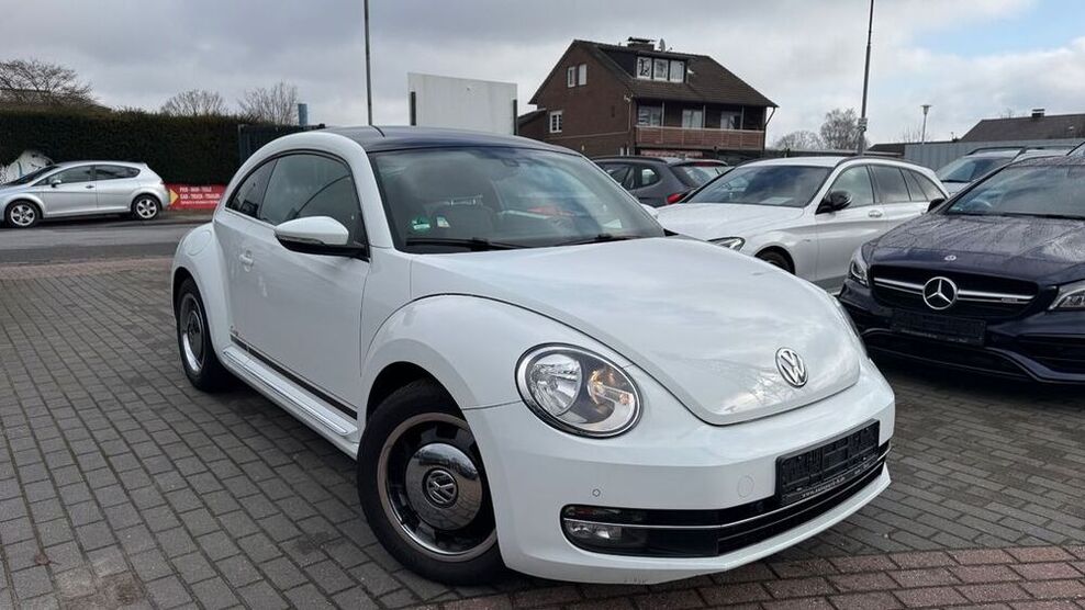 Beetle