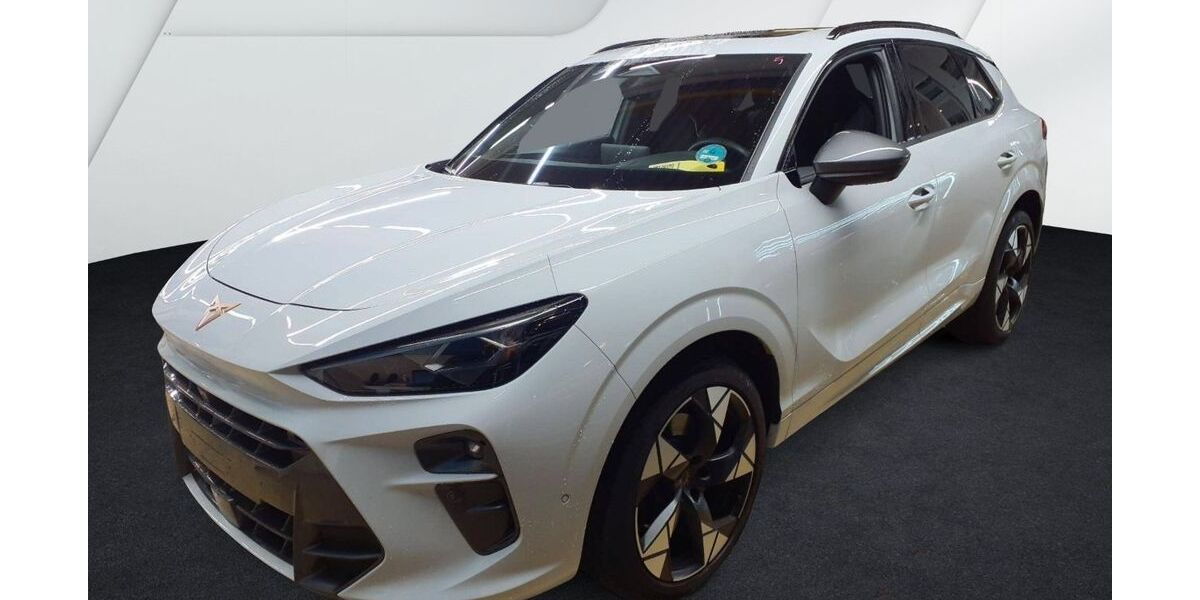 Cupra Terramar 14.501 km 39.890 &euro; Pfalzgrafenweiler 72285