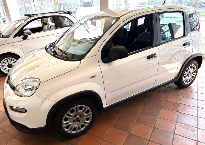 Panda