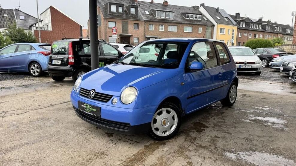 Lupo