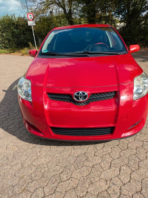 Auris