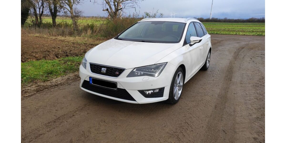 Seat Leon 95.500 km 14.800 € Römerberg 67354