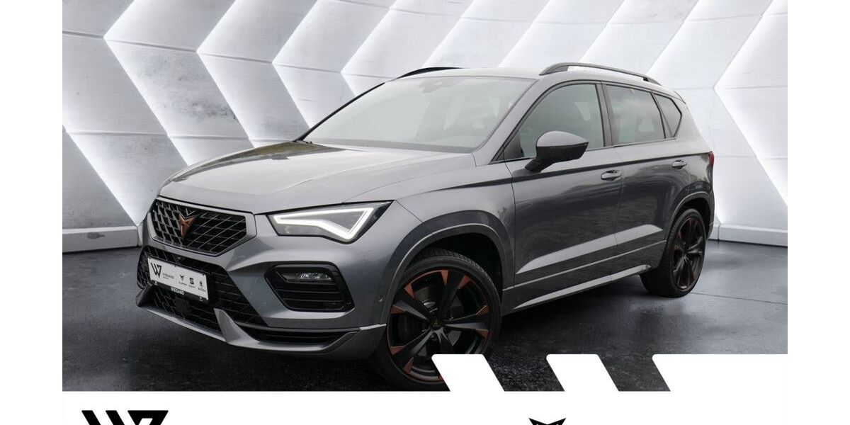 Cupra Ateca 78.889 km 28.691 &euro; Gelnhausen 63571