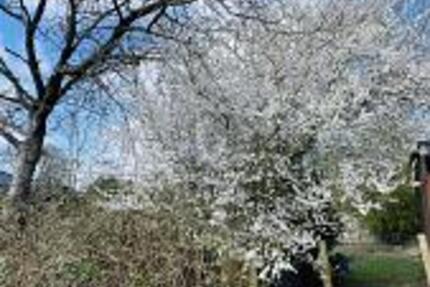 DIE LETZTEN BEIDEN HIER IM NEUBAUGEBIET - Grundstück Kellinghusen | Angebot:25142020