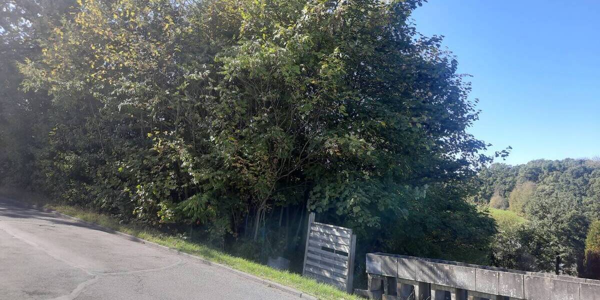 Grundstück Waldbröl - 120.000&euro; | Angebot:25735473