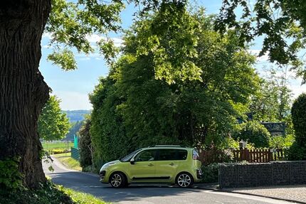 Citroen C3 Picasso 190.000 km 4.950 &euro; Elbtal 65627