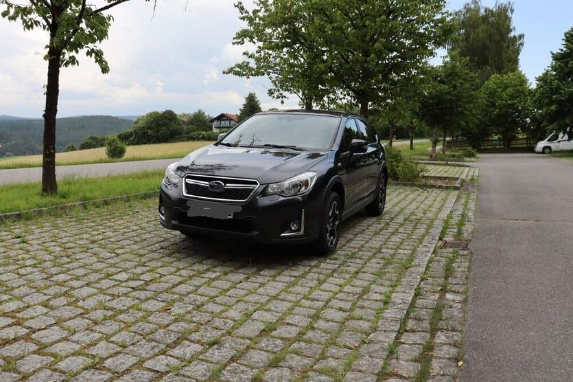 XV