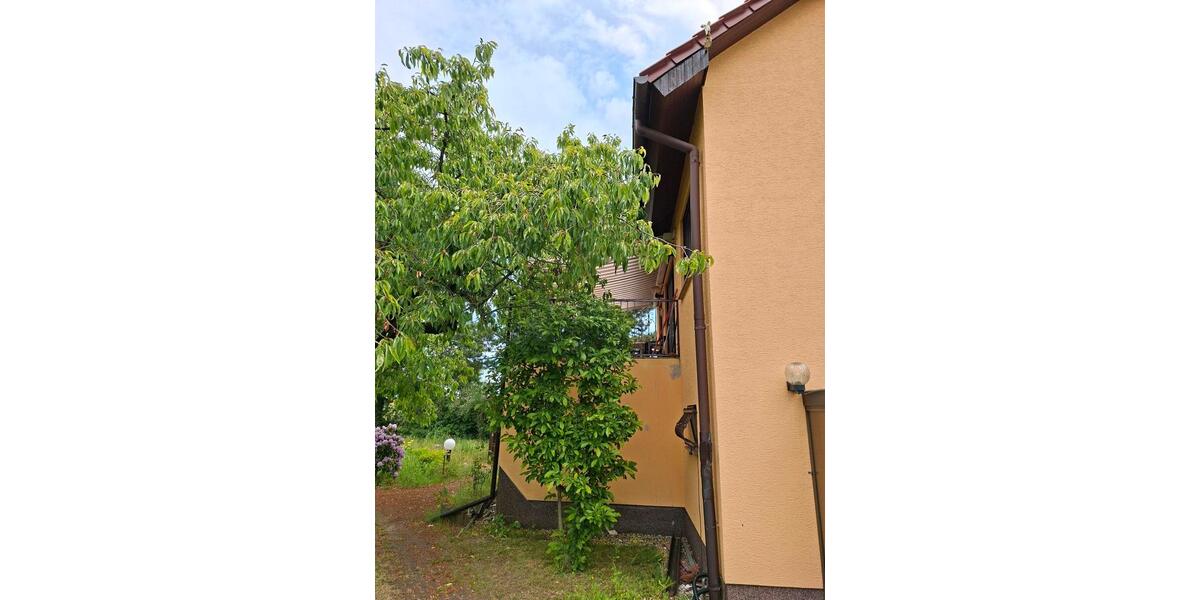 Einfamilienhaus Herzberg (Elster) - 7 Zimmer, 152 m&sup2;, 395.000&euro; | Angebot:26888808
