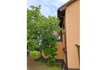 Einfamilienhaus Herzberg (Elster) - 7 Zimmer, 152 m&sup2;, 400.000&euro; | Angebot:26888808