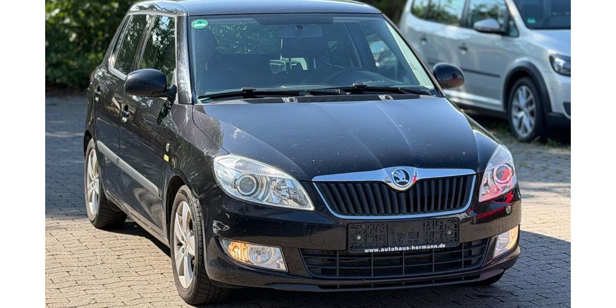 Skoda Fabia 224.000 km 2.990 &euro; Hildesheim 31135
