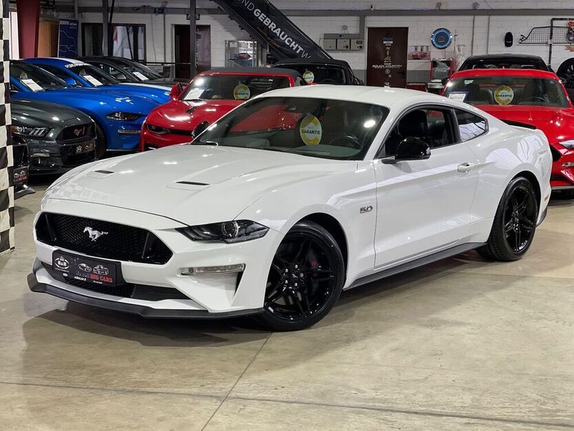 Mustang