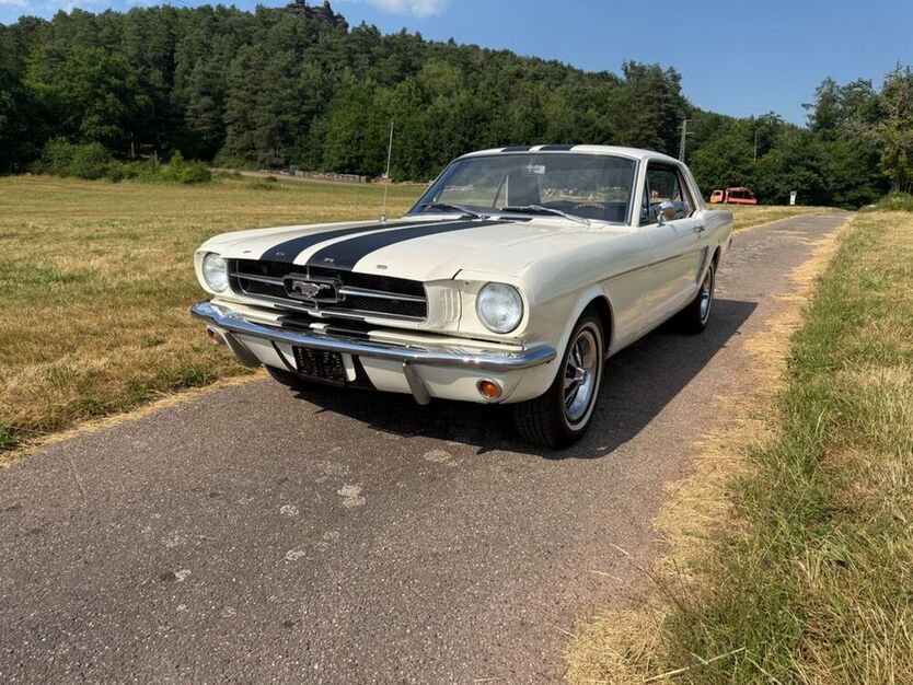 Mustang