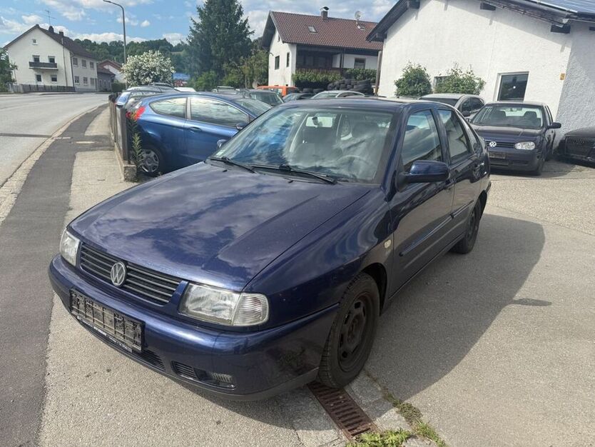 Polo