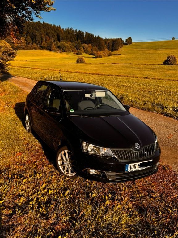 Skoda Fabia 78.500 km 8.500 € Alpirsbach 72275