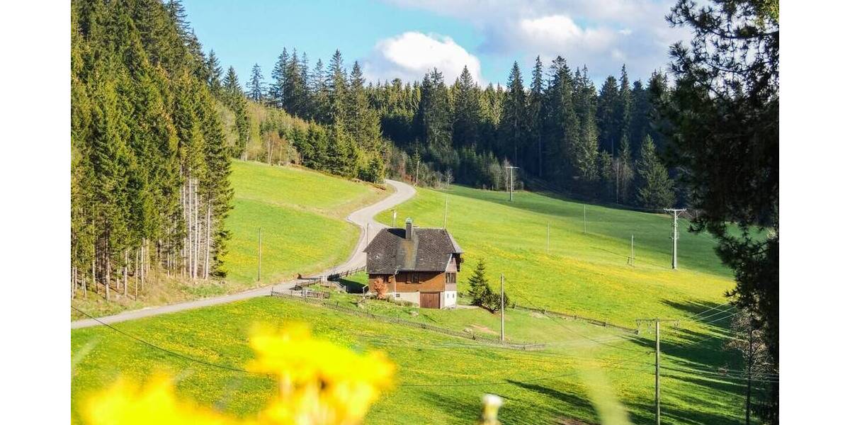 Mehrfamilienhaus, Wohnhaus Titisee-Neustadt Titisee - 3 Zimmer, 101 m&sup2;, 749.000&euro; | Angebot:26274112