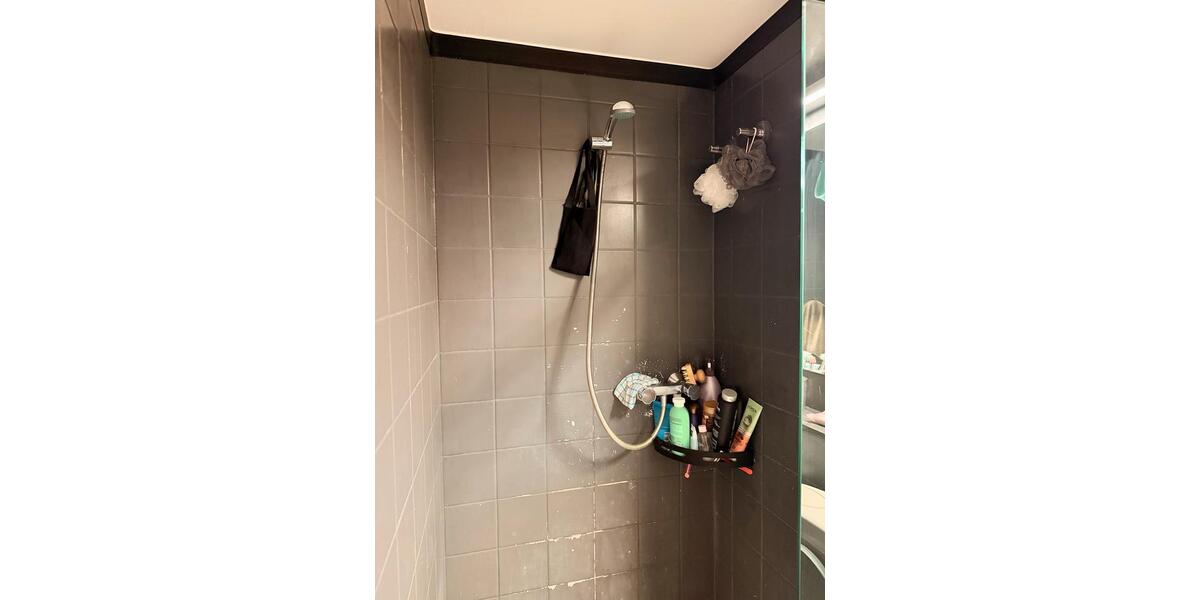 Etagenwohnung Trier Kürenz - 1 Zimmer, 20 m&sup2;, 350&euro; | Angebot:26392482