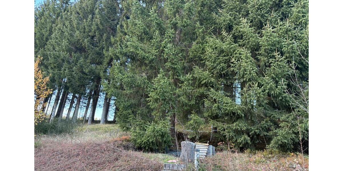 Reihenhaus Schönwald im Schwarzwald - 3 Zimmer, 82 m&sup2;, 900&euro; | Angebot:26125625