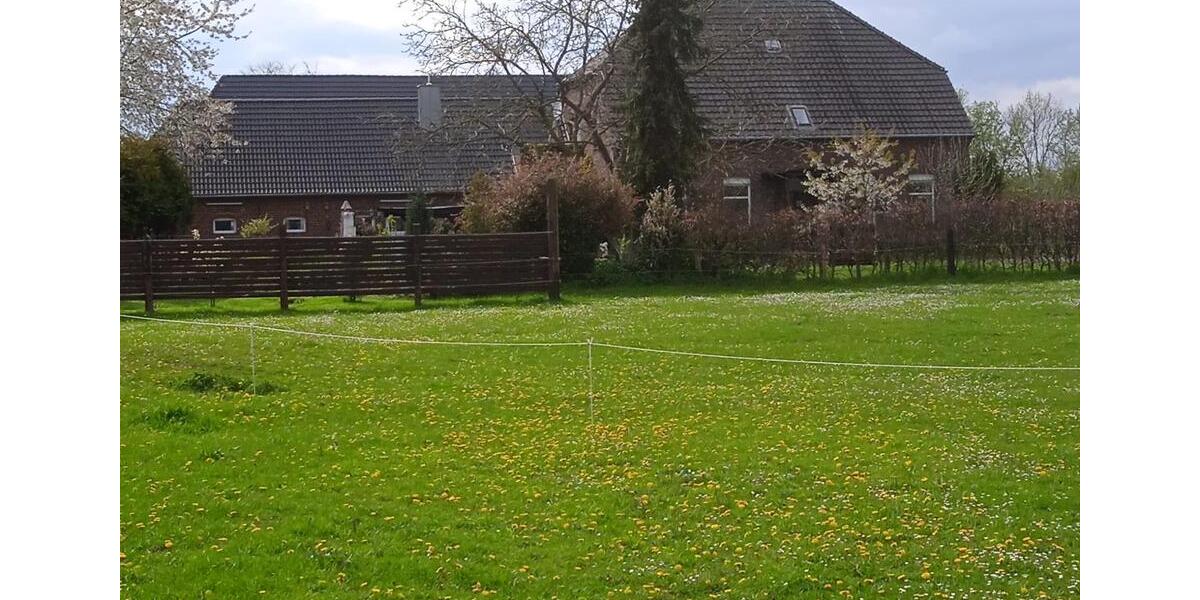 Bauernhaus, Landhaus Goch - 8.5 Zimmer, 250 m&sup2;, 800.000&euro; | Angebot:25239589