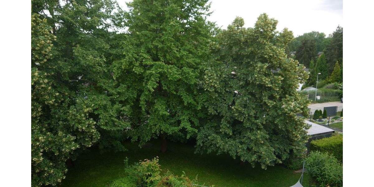 Etagenwohnung Schwielowsee Caputh - 3 Zimmer, 92 m&sup2;, 279.000&euro; | Angebot:25775307