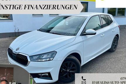Skoda Fabia 18.156 km 16.390 &euro; Tannhausen 73497
