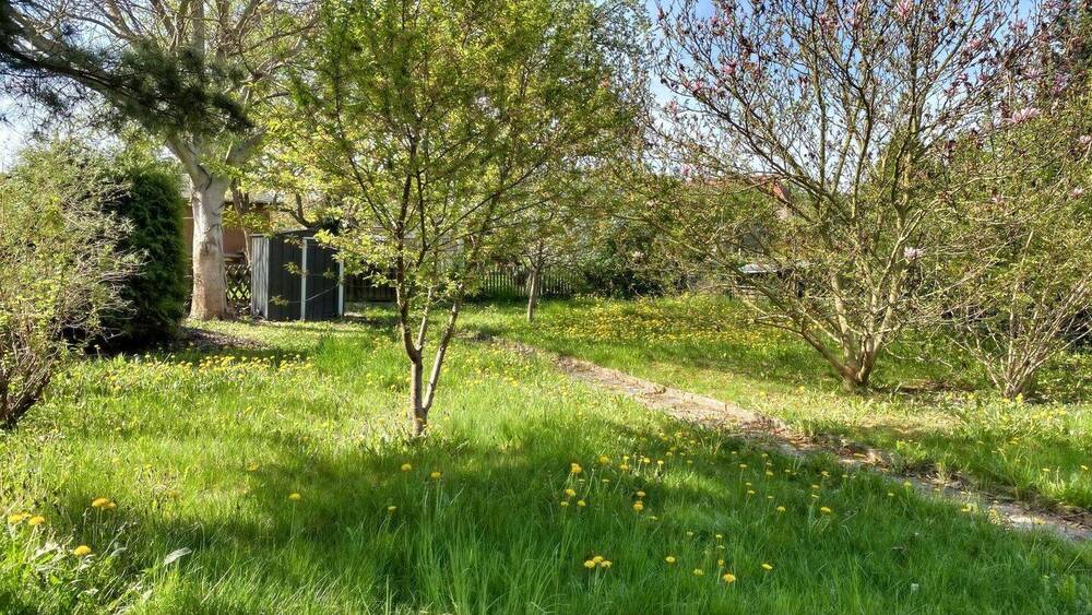 Doppelhaushälfte Zittau - 4 Zimmer, 93 m&sup2;, 113.000&euro; | Angebot:26858717