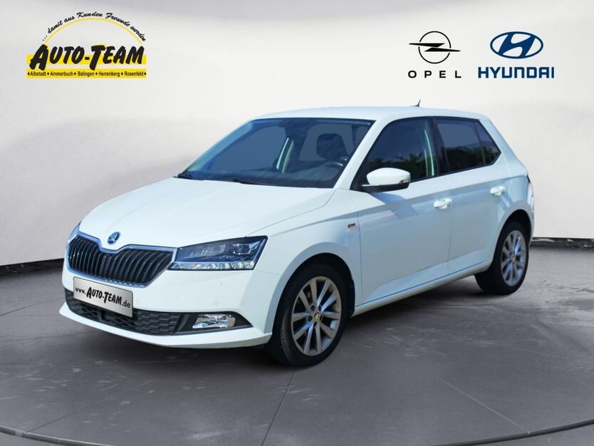 Skoda Fabia 42.200 km 14.660 € Rosenfeld 72348